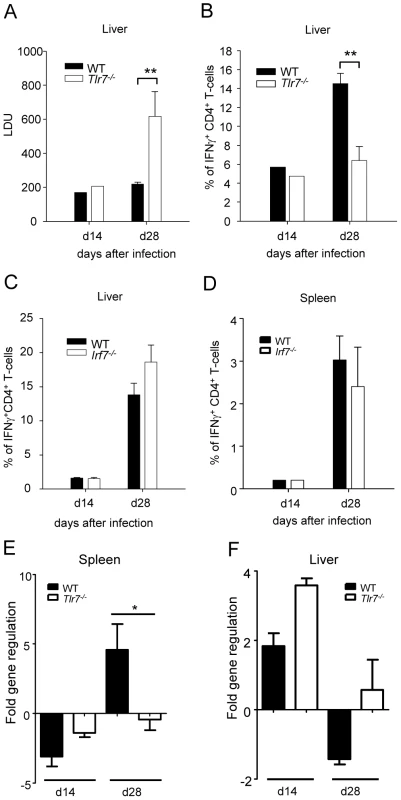 TLR7 activation is essential for the development of Th1 responses following <i>L. donovani</i> infection.