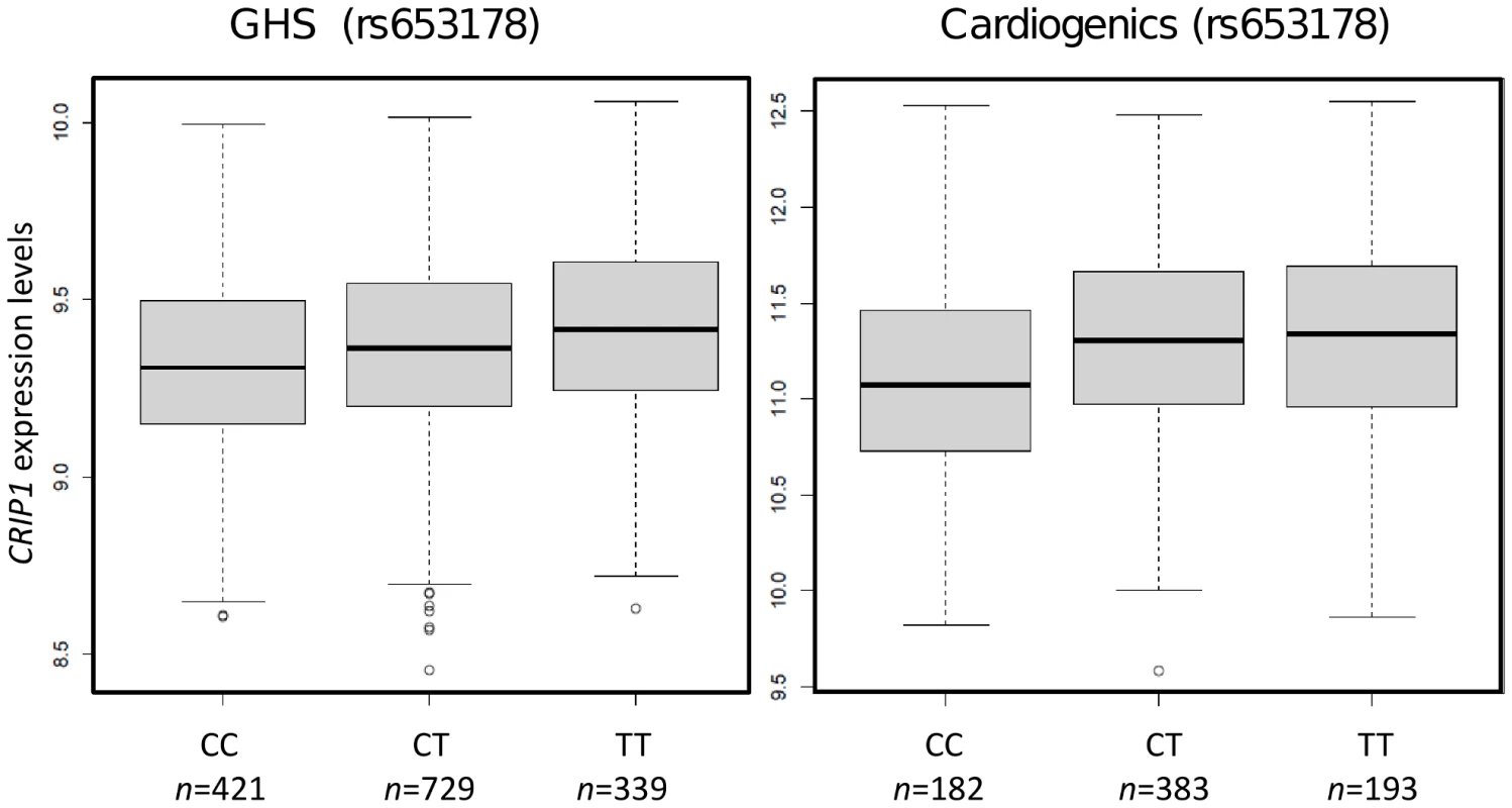 Box plots showing the association of rs653178 at locus 12q24 (<i>SH2B3</i>) with <i>CRIP1</i> expression in GHS and Cardiogenics.