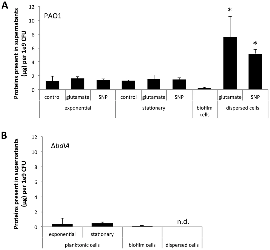 Dispersion of <i>P. aeruginosa</i> PAO1 biofilms correlates with increased release of proteins into the supernatant.