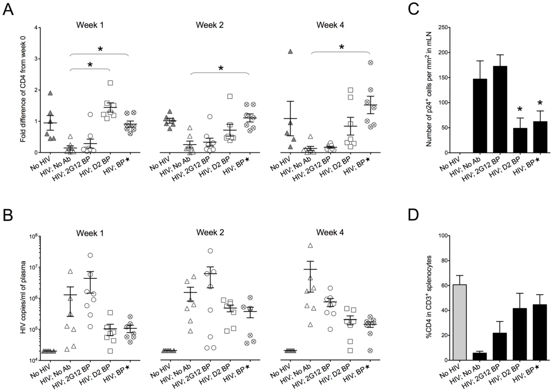 Protection against HIV-1 infection in humanized mice by a sustained low level of dimeric 2G12.