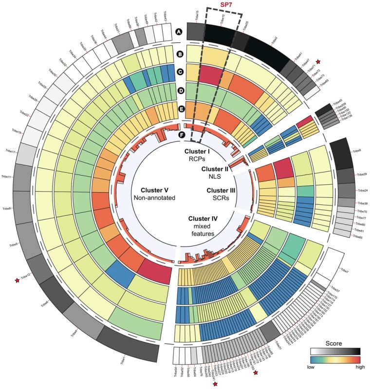 Top 100 ranked protein tribes containing putative effector candidates.