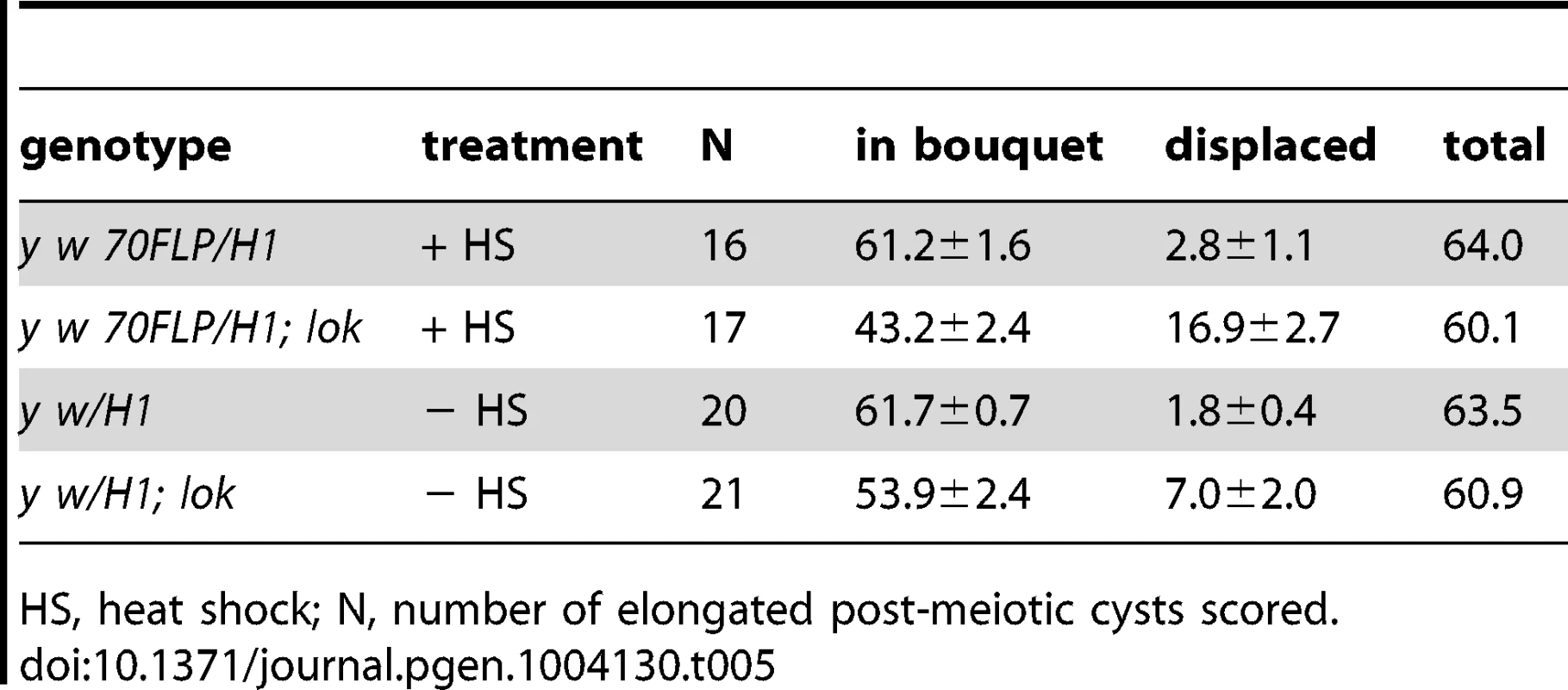 Sperm head displacement following dicentric chromosome induction.