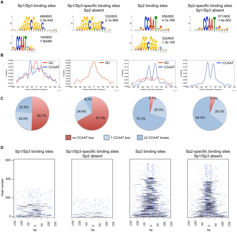 Sequence motifs at Sp1/Sp3 and Sp2 binding sites in MEFs.