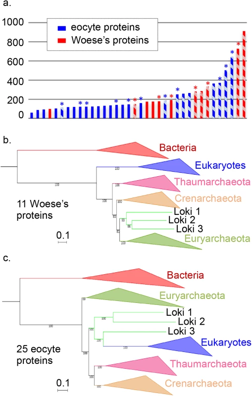 Comparison and concatenation of different subsets of the 36 universal proteins.