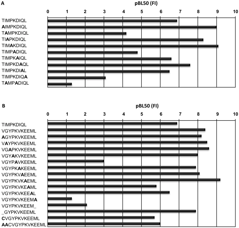 Peptide binding to N*01301.