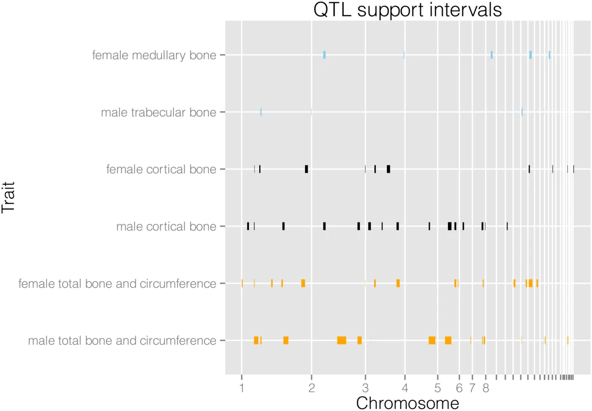 Physical locations of QTL support intervals.