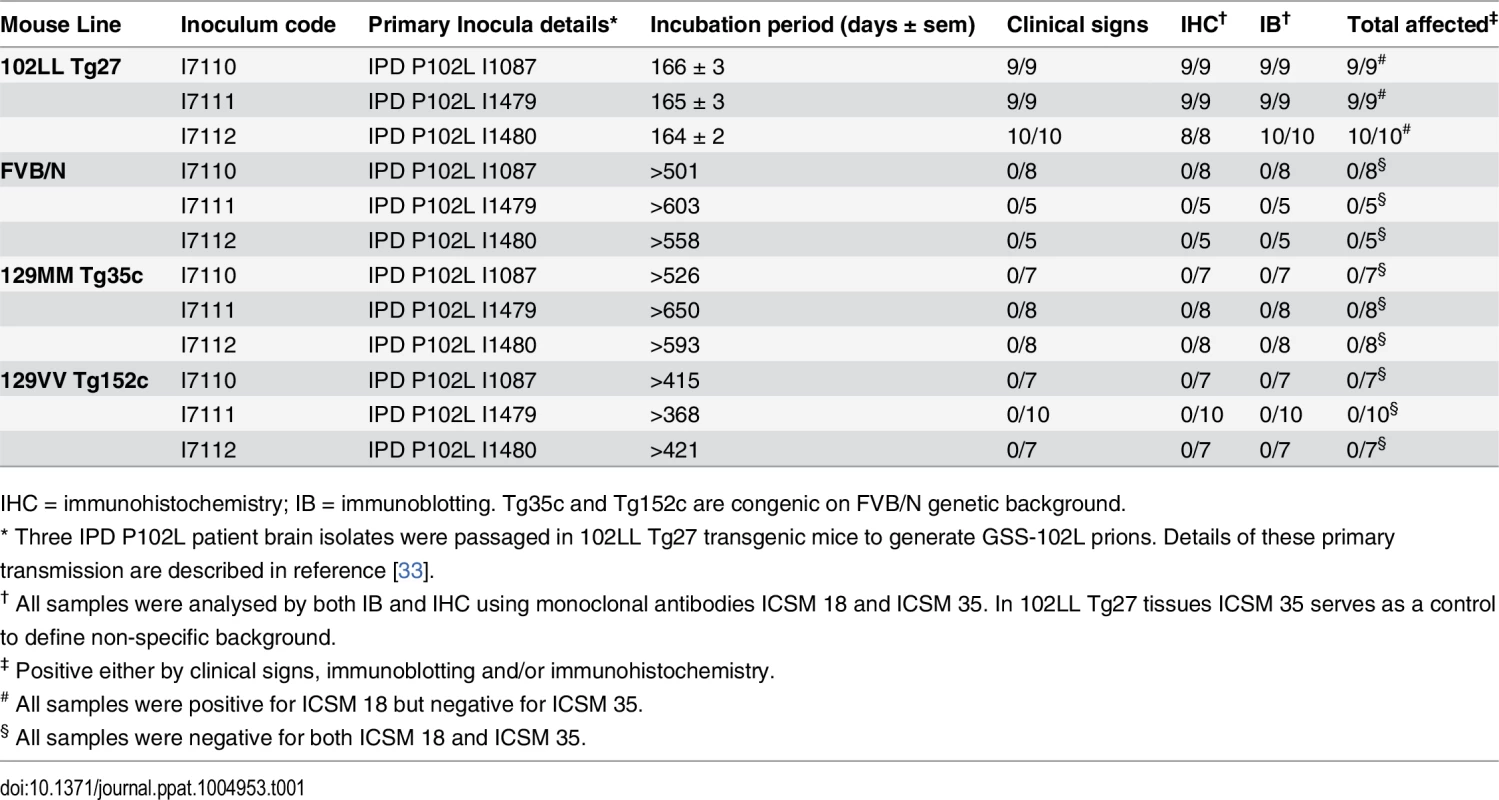Transmission of homogenous GSS-102L prions to wild type FVB mice or transgenic mice expressing PrP 102L or wild type human PrP.