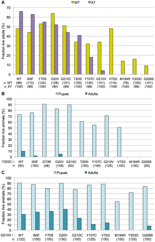 Incomplete dominance of <i>Smn</i> mutants.