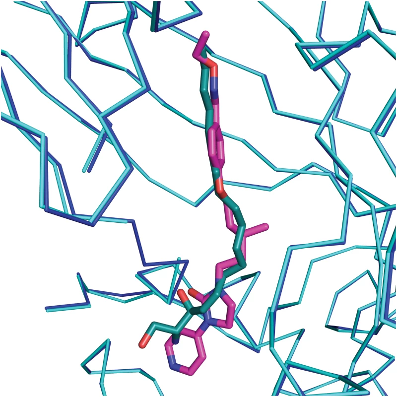 Comparison of complexes of CVA16 with sphingosine and GPP3.