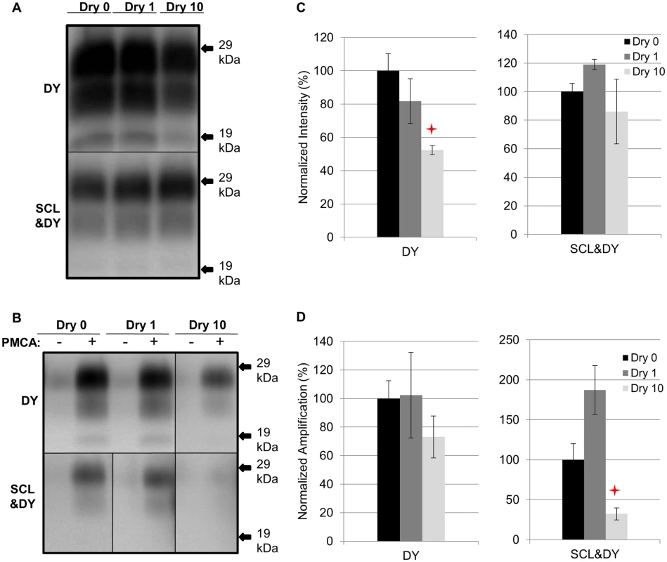 Influence of repeated cycles of drying and wetting on proteinase K resistance and amplification efficiency of DY TME.