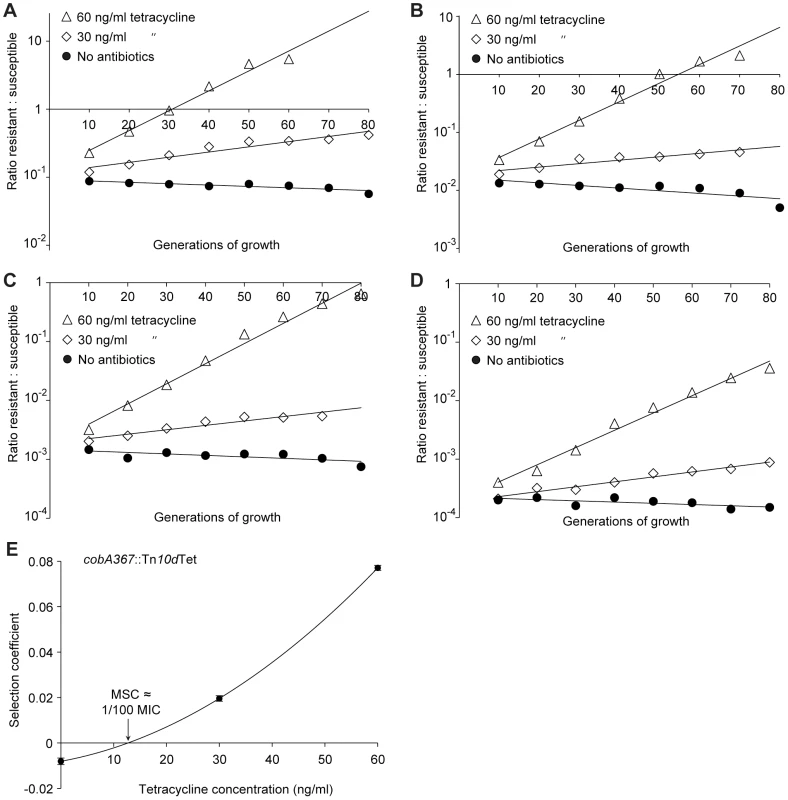 Competition experiments with low initial frequencies of resistant mutants.