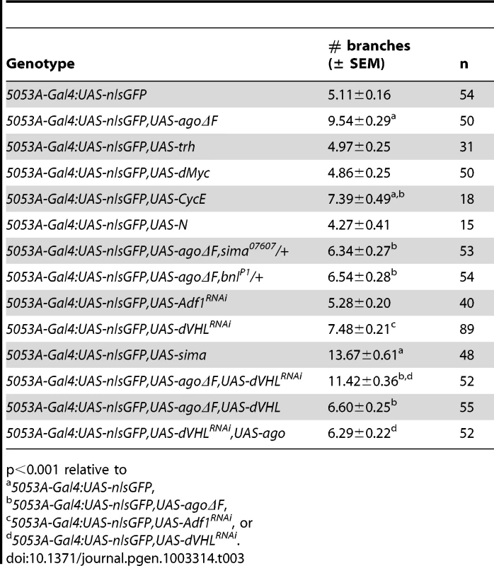 Number of tracheal terminal branches terminating on VLM12.