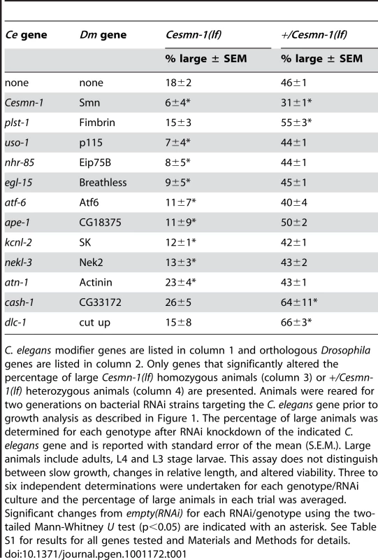 Conserved genes modify <i>Cesmn-1(lf)</i> defects in the growth assay.