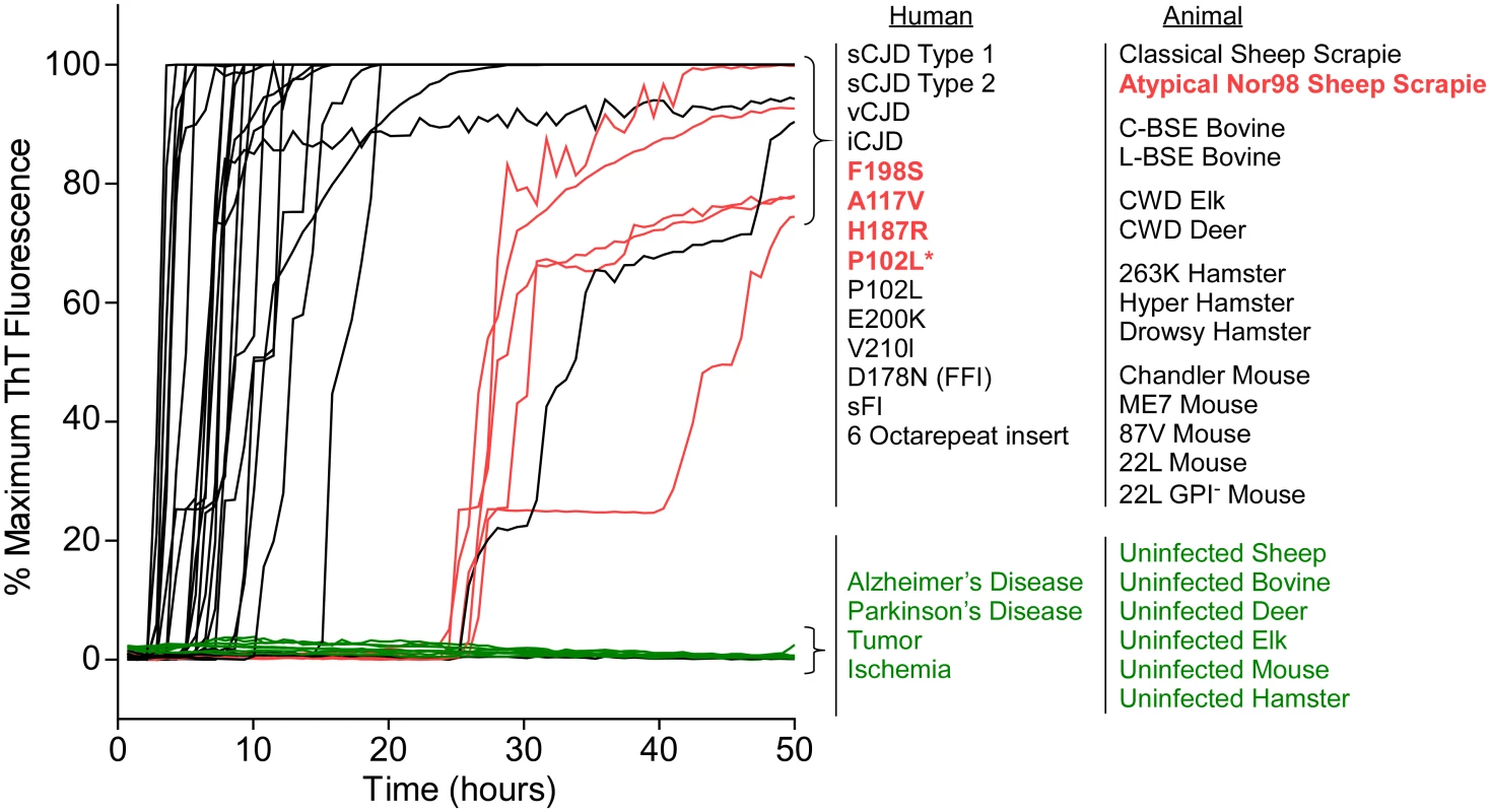 RT-QuIC detection of 28 types of prion seeds from 5 different species using new BV rPrP<sup>Sen</sup> substrate.