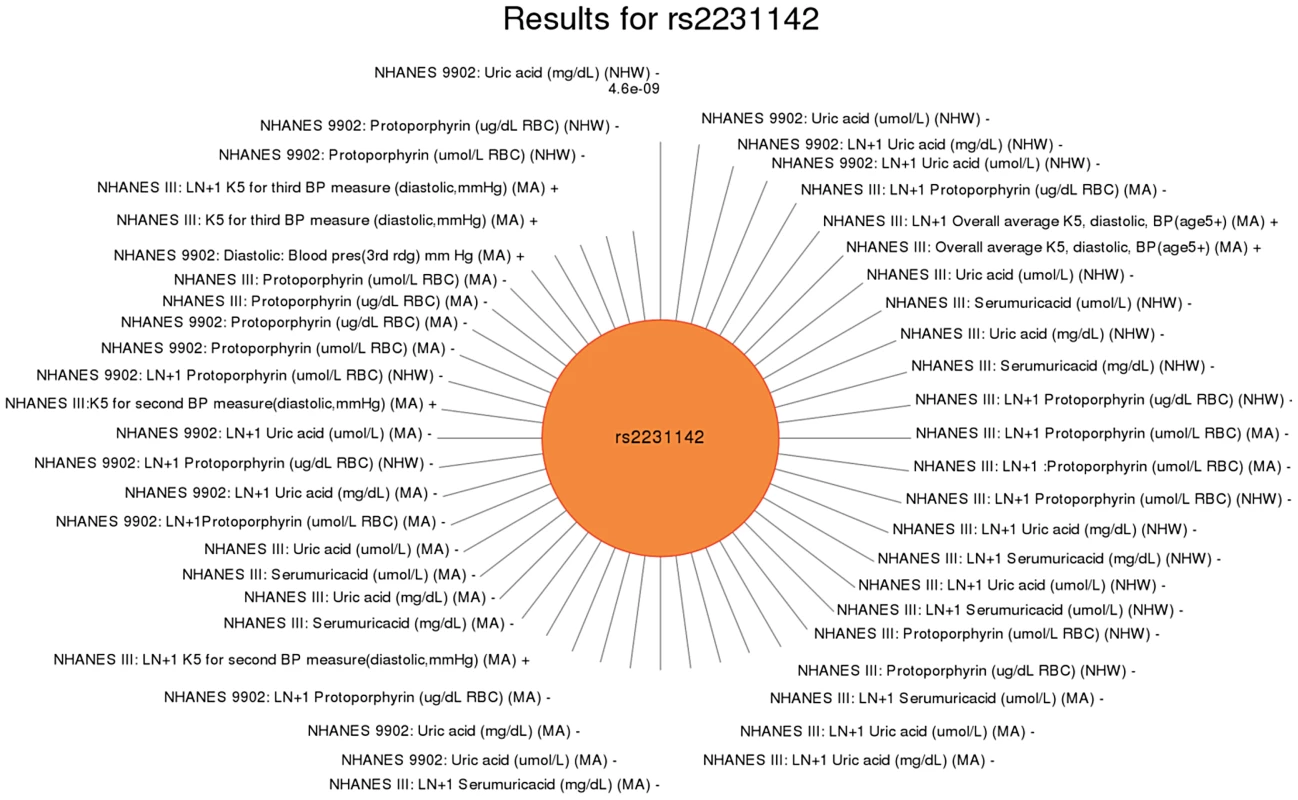 Sun plot of (p<0.01) results for <i>ABCG</i> rs2231142, coded allele C.