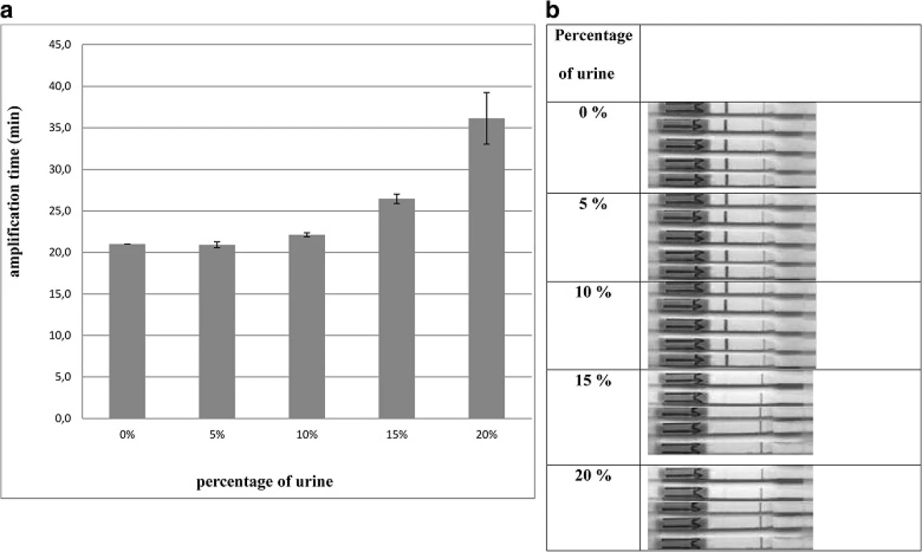 Urine tolerance of LAMP