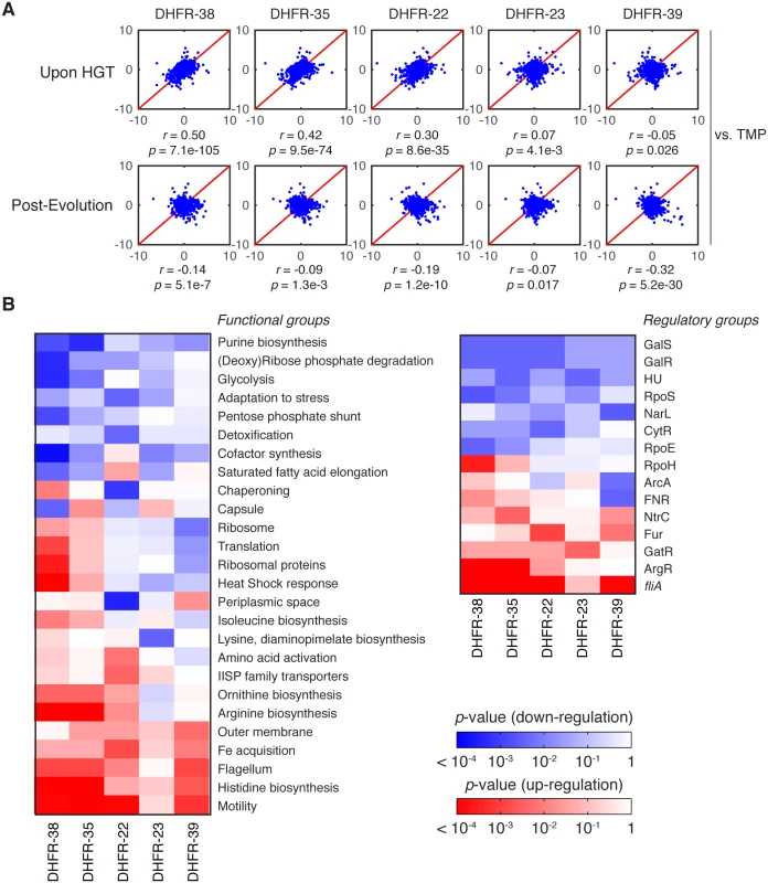 Global proteomic response to HGT.