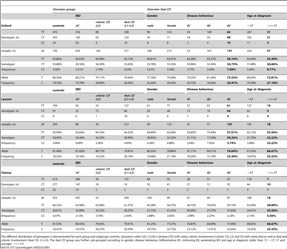 LRP6 rs2302685 frequency distribution in the separate cohort samples (Oxford, Leuven, Vienna).