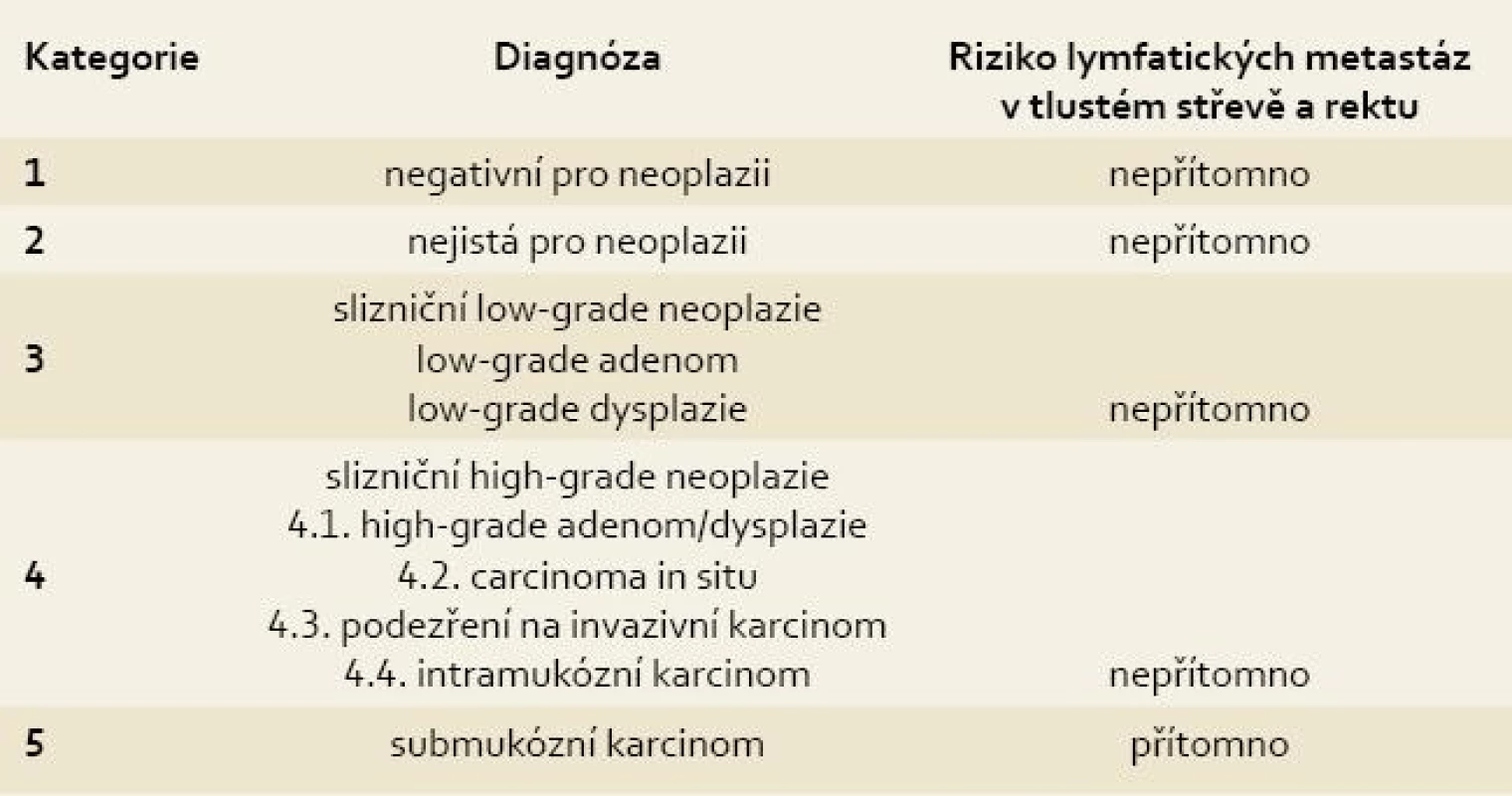 Revidovaná Vídeňská klasifikace gastrointestinálních epiteliálních neoplazií.
Tab. 1. The revised Vienna classification of gastrointestinal epithelial neoplasia.