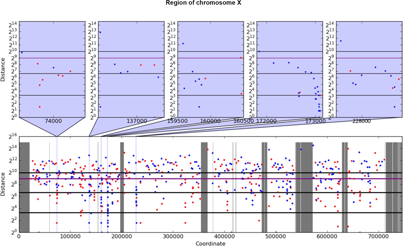 Example of rainfall plot showing mutation clusters in PmCDA1-induced mutants.