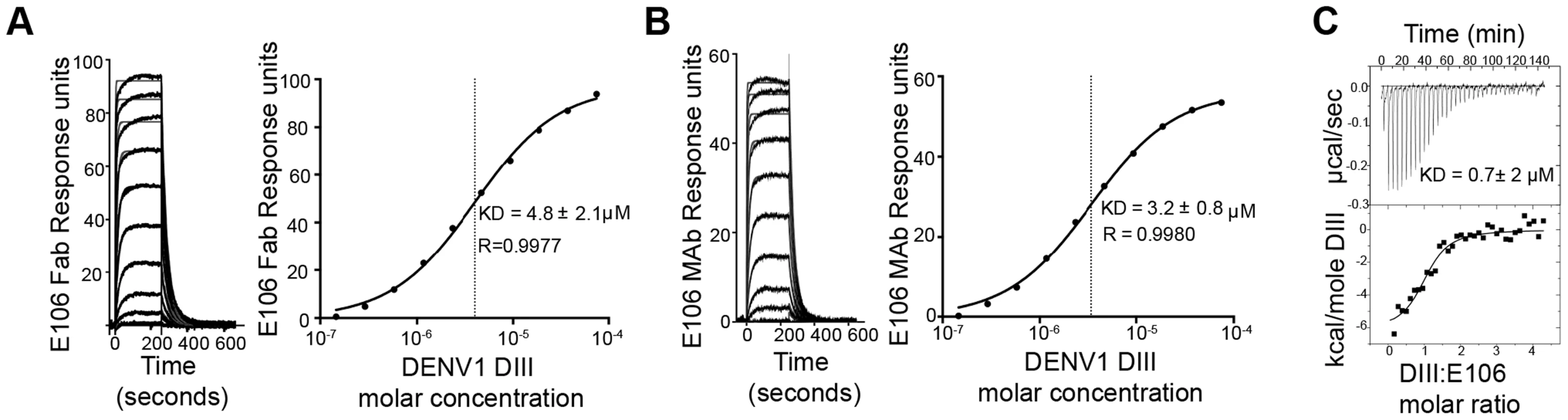 E106 Fab and MAb binds with low affinity to DENV-1-DIII.