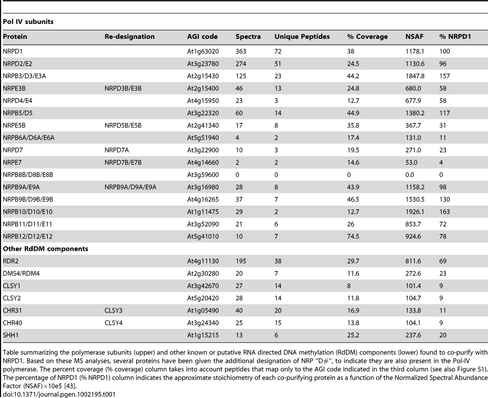 Mass-spectrometric analysis of NRPD1 affinity purifications.
