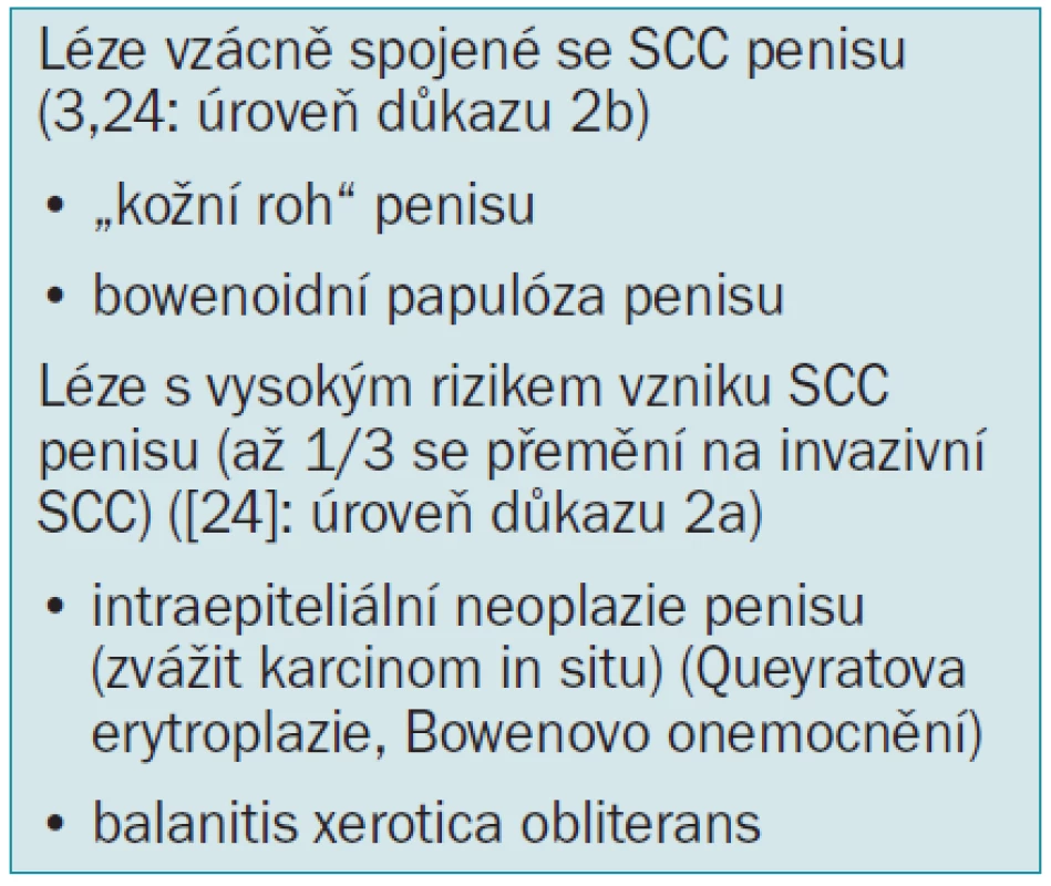 Premaligní léze.