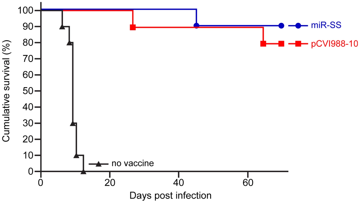 Protection from virulent MDV infection.