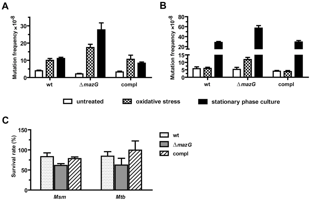 The antimutator role of MazG in <i>Msm</i> (A) and <i>Mtb</i> (B).