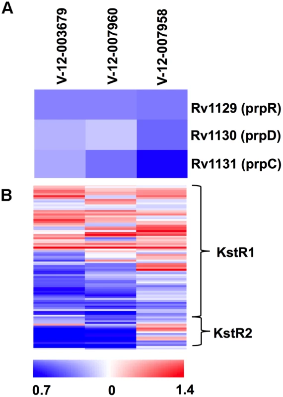 Orphan cholesterol utilization inhibitors display transcriptional response characteristic of blocked cholesterol utilization.