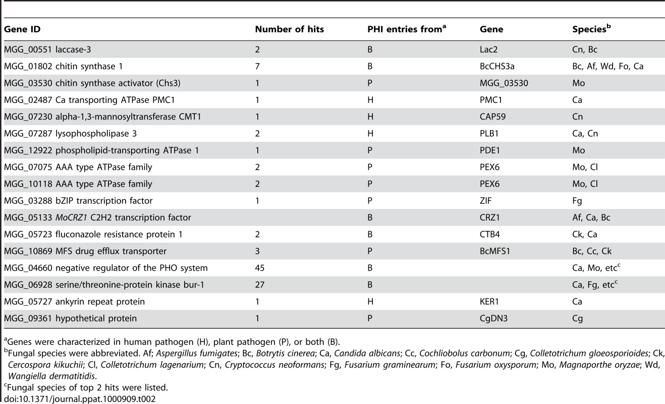 Genes implicated in fungal virulence.