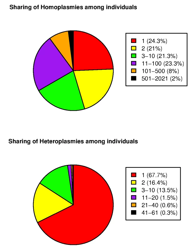 Sharing of mtDNA variants among 2,077 SardiNIA sequencing project participants.