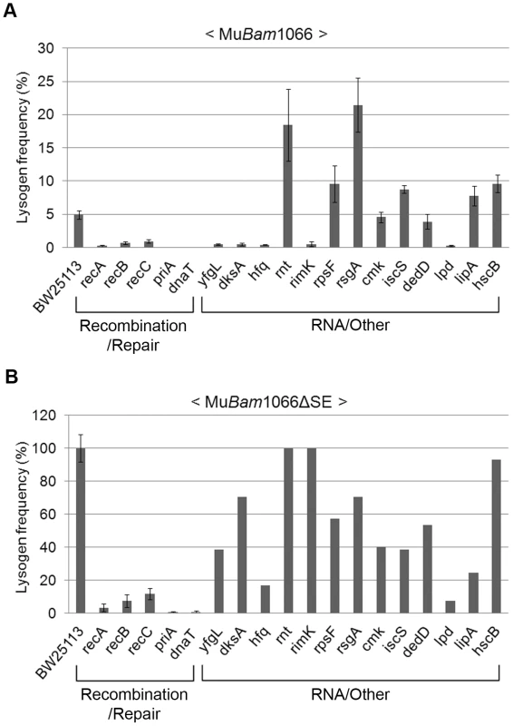 Mutant screen using replication-defective Mu.