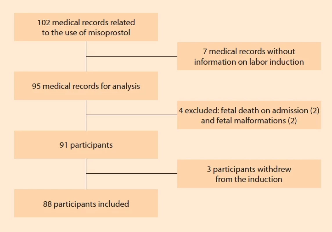 Flowchart of the included participants. Obr. 1. Vývojový diagram zahrnutých účastníků.