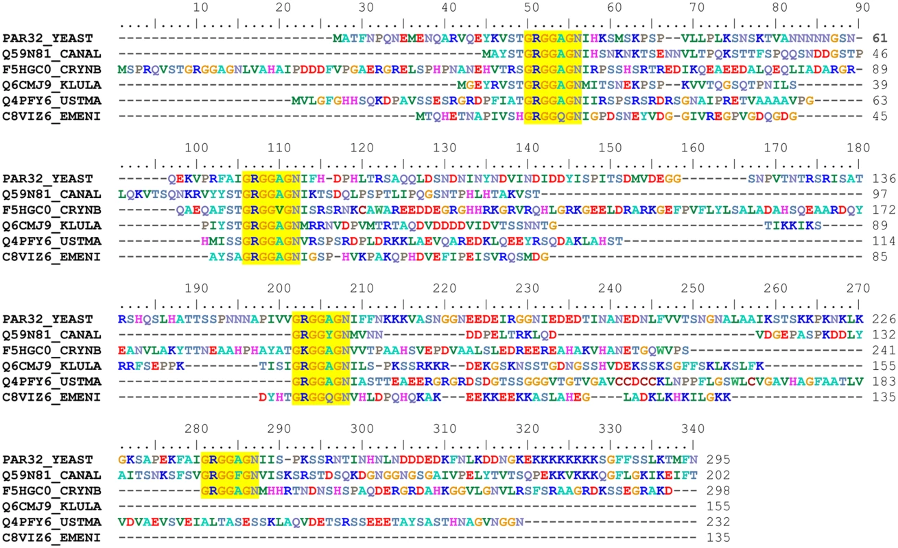 Amu1 is only conserved in fungi and contains a four-fold repeated motif.