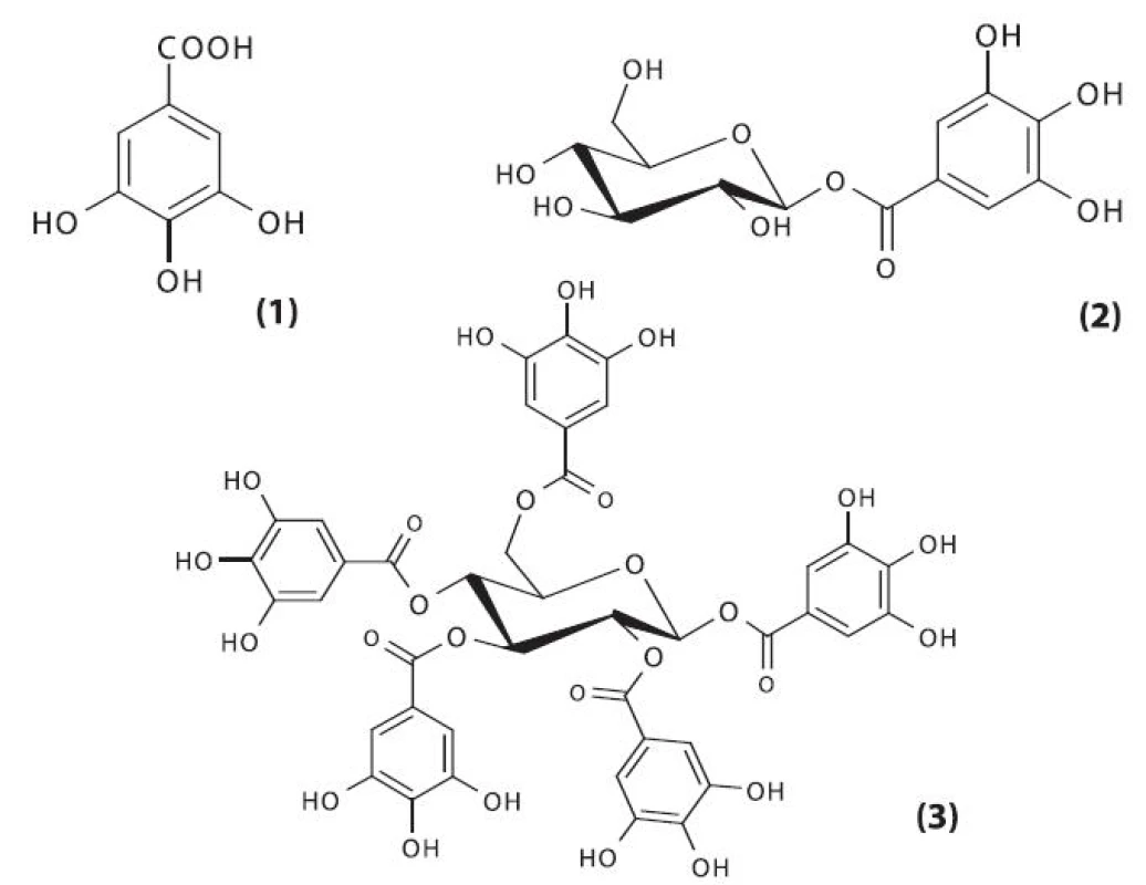 Prekurzory hydrolyzovatelných tříslovin
1 – kyselina gallová, 2 – 1-O-galloyl-ß-D-glukopyranosa (ß-glukogallin), 3 – 1,2,3,4,6-penta-O-galloyl-ß-D-glukopyranosa