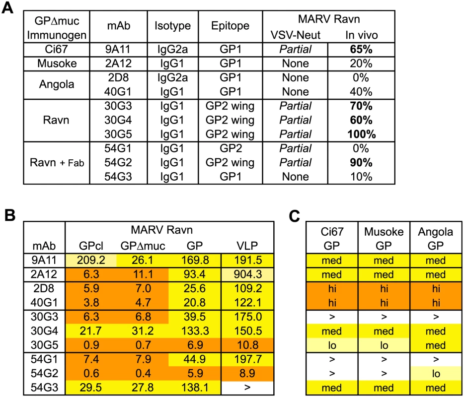 Antibody characterization.