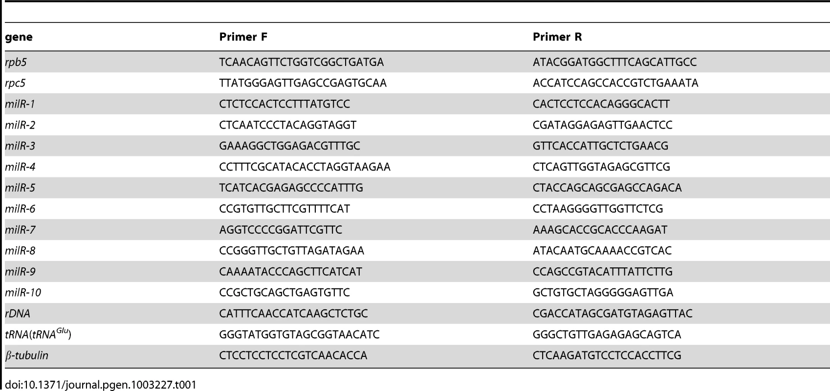 qPCR primer sequences.