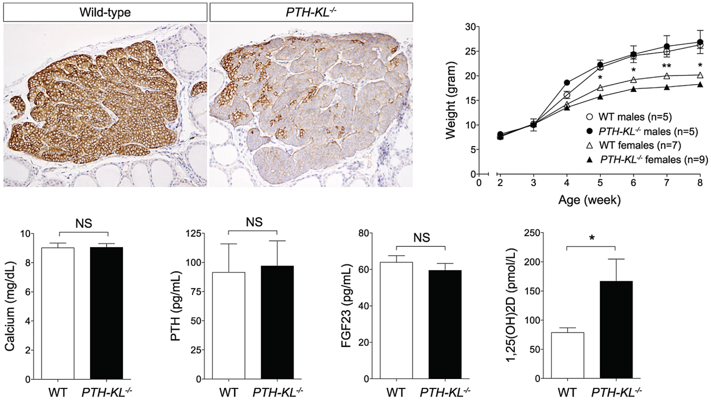 Tissue-specific deletion of the <i>Klotho</i> gene.