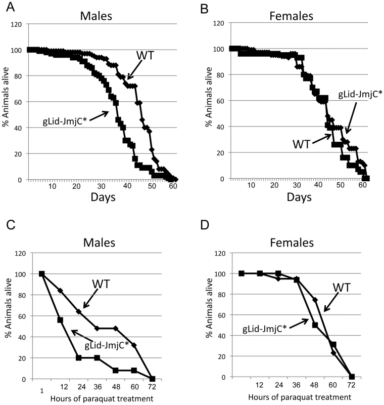 Demethylase inactive male flies are short-lived and sensitive to paraquat.