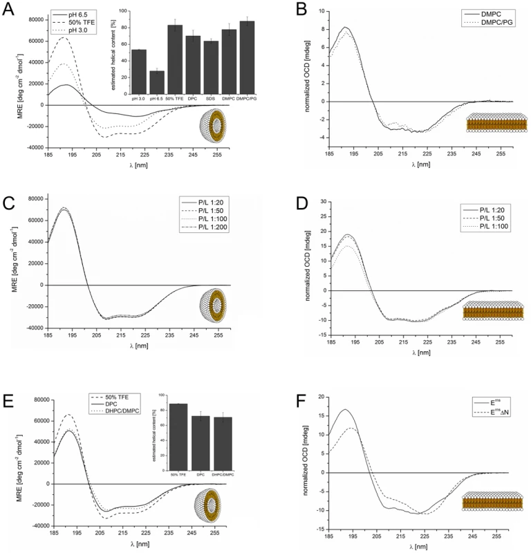 CD and OCD spectra of the E<sup>rns</sup> C-terminus and the N-terminally truncated version E<sup>rns</sup>ΔN in different environments.