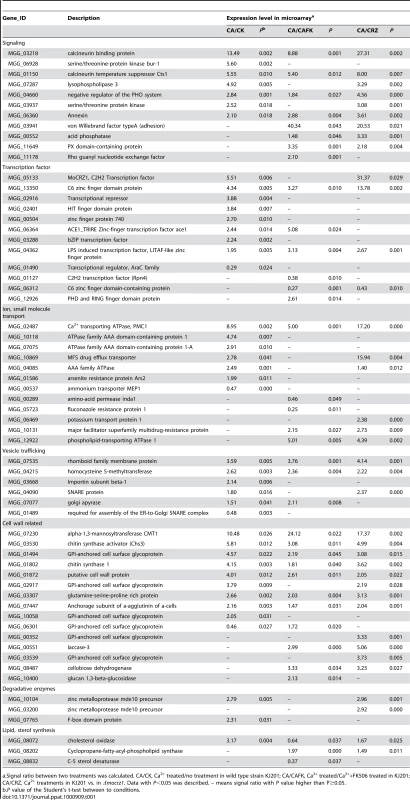 Functional classification of MoCRZ1 direct targets.