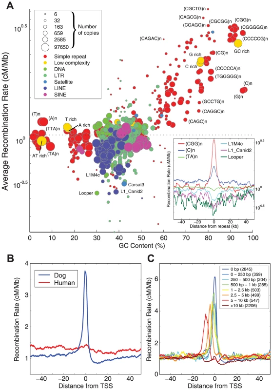 Recombination around genome features.