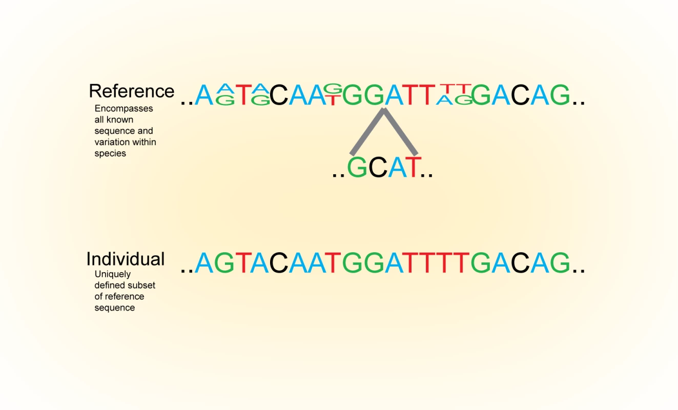 Conceptualizing the Genome.
