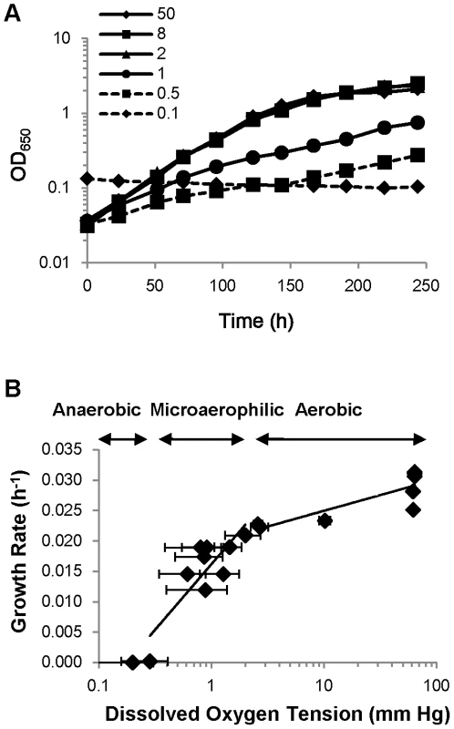 Oxygen concentration directly affects the growth of <i>M. tuberculosis</i>.