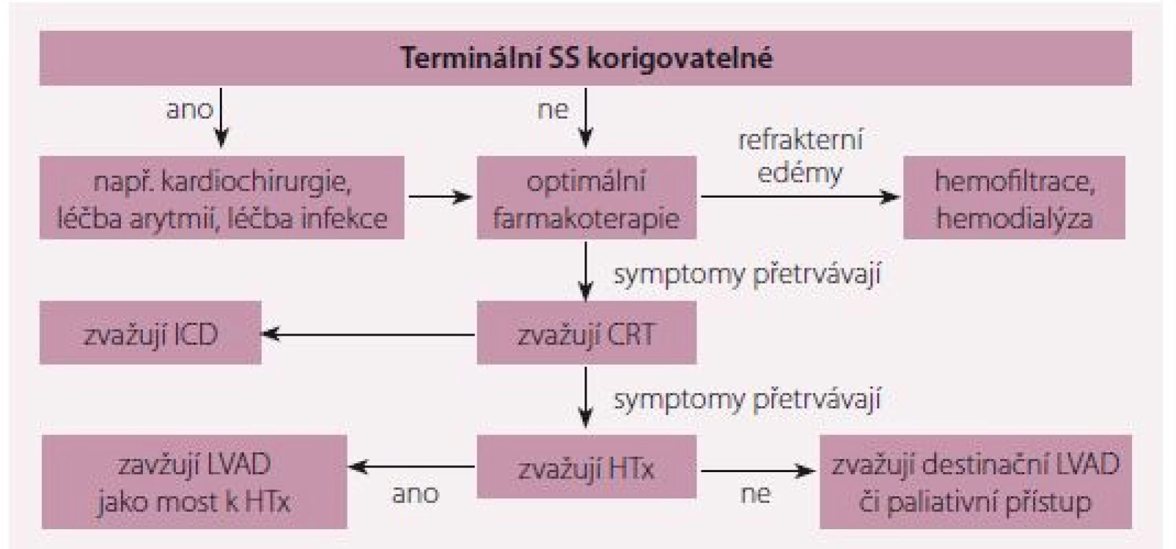 Algoritmus postupu u terminálního srdečního selhání. Upaveno dle [7].