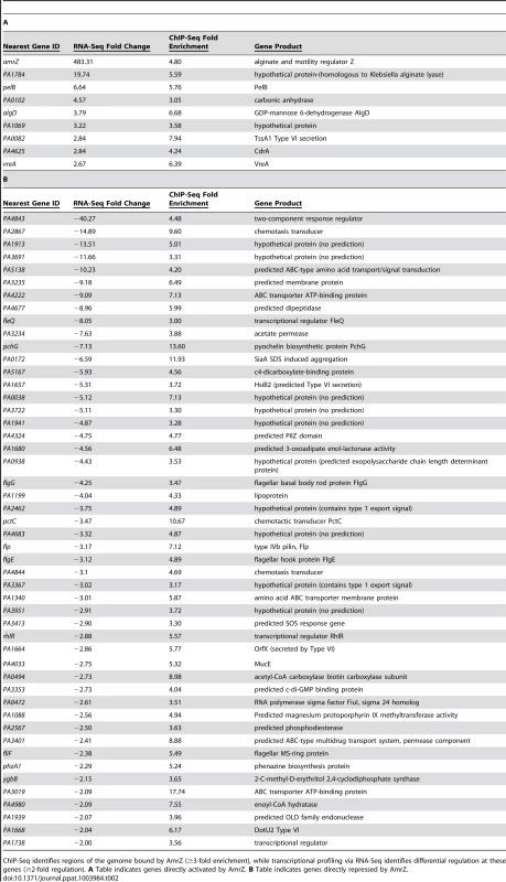 Systems-level analysis of the AmrZ regulon.