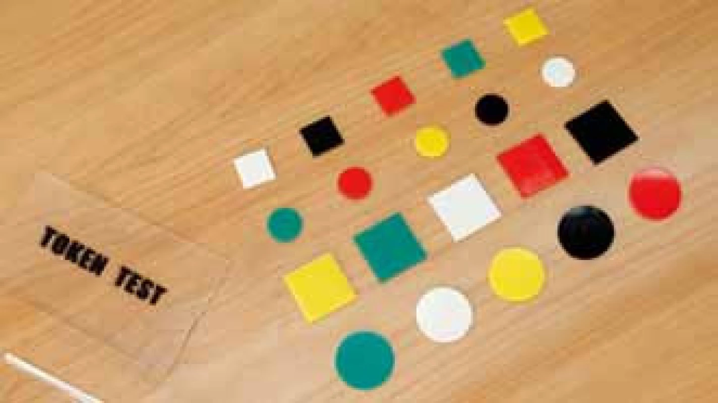 Token test.
Fig. 1. Token Test.
