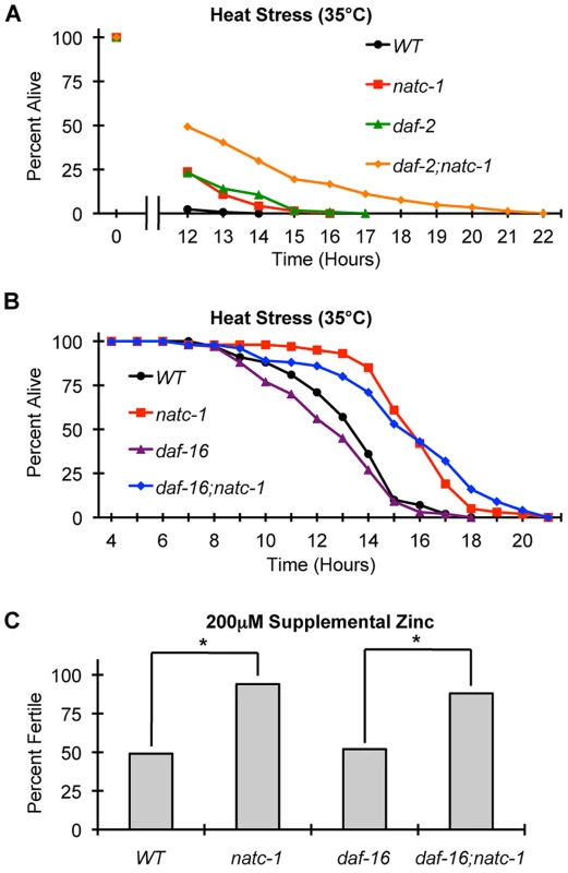 <i>natc-1</i> is epistatic to <i>daf-16</i> in resistance to heat and zinc stress.