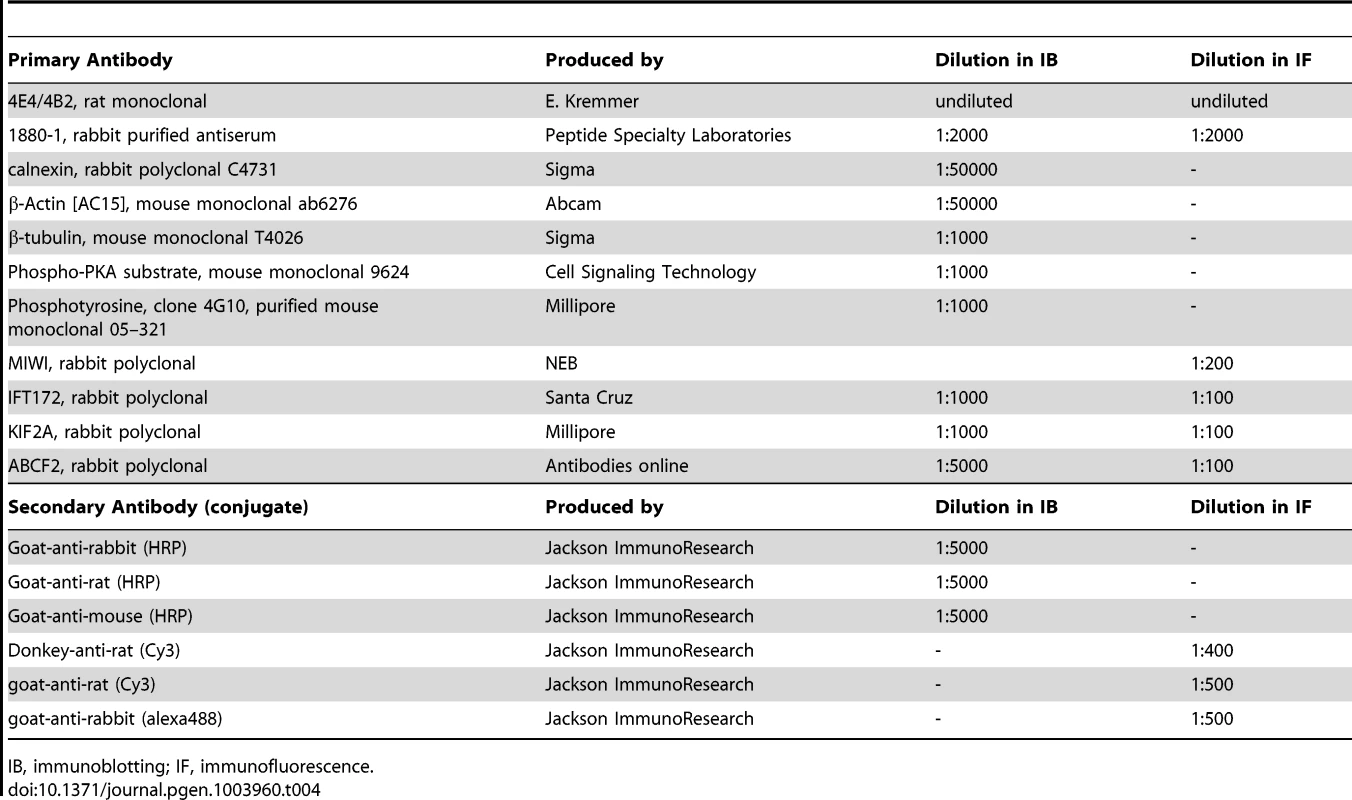 Antibodies and their dilutions.